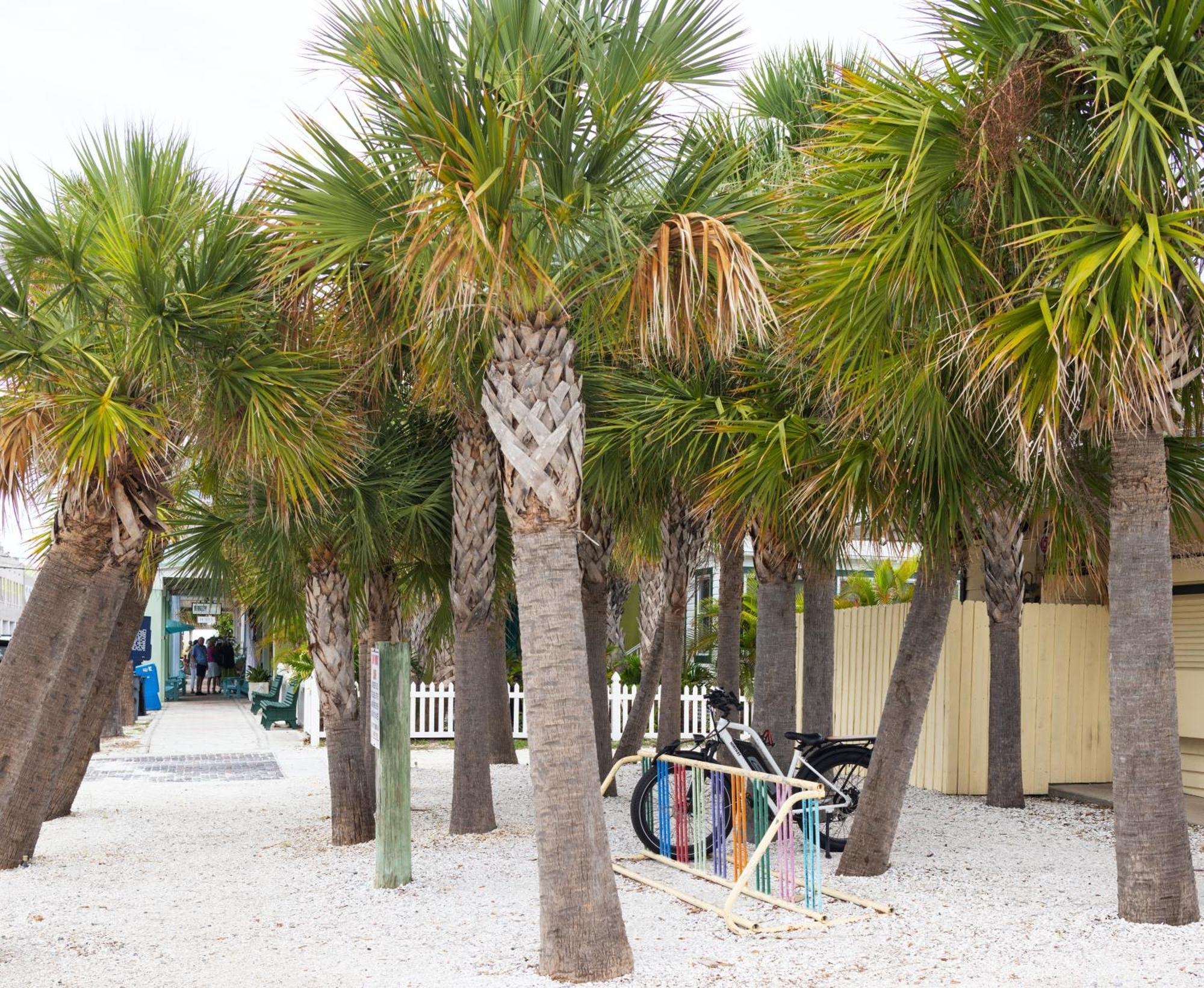 The Hotel Zamora St. Pete Beach Extérieur photo