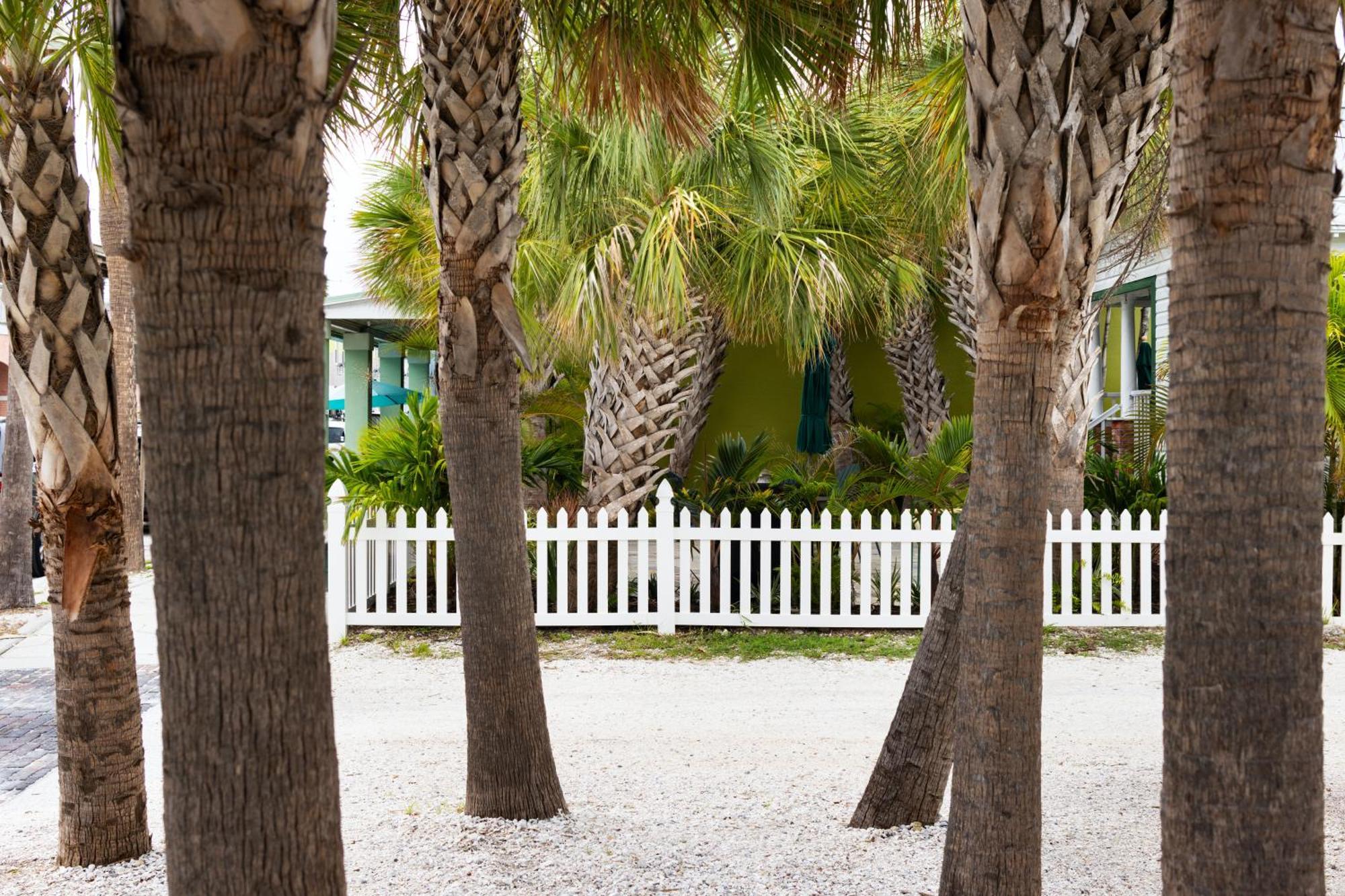 The Hotel Zamora St. Pete Beach Extérieur photo